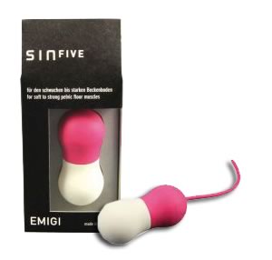 SINFIVE EMEGI RASPBERRY